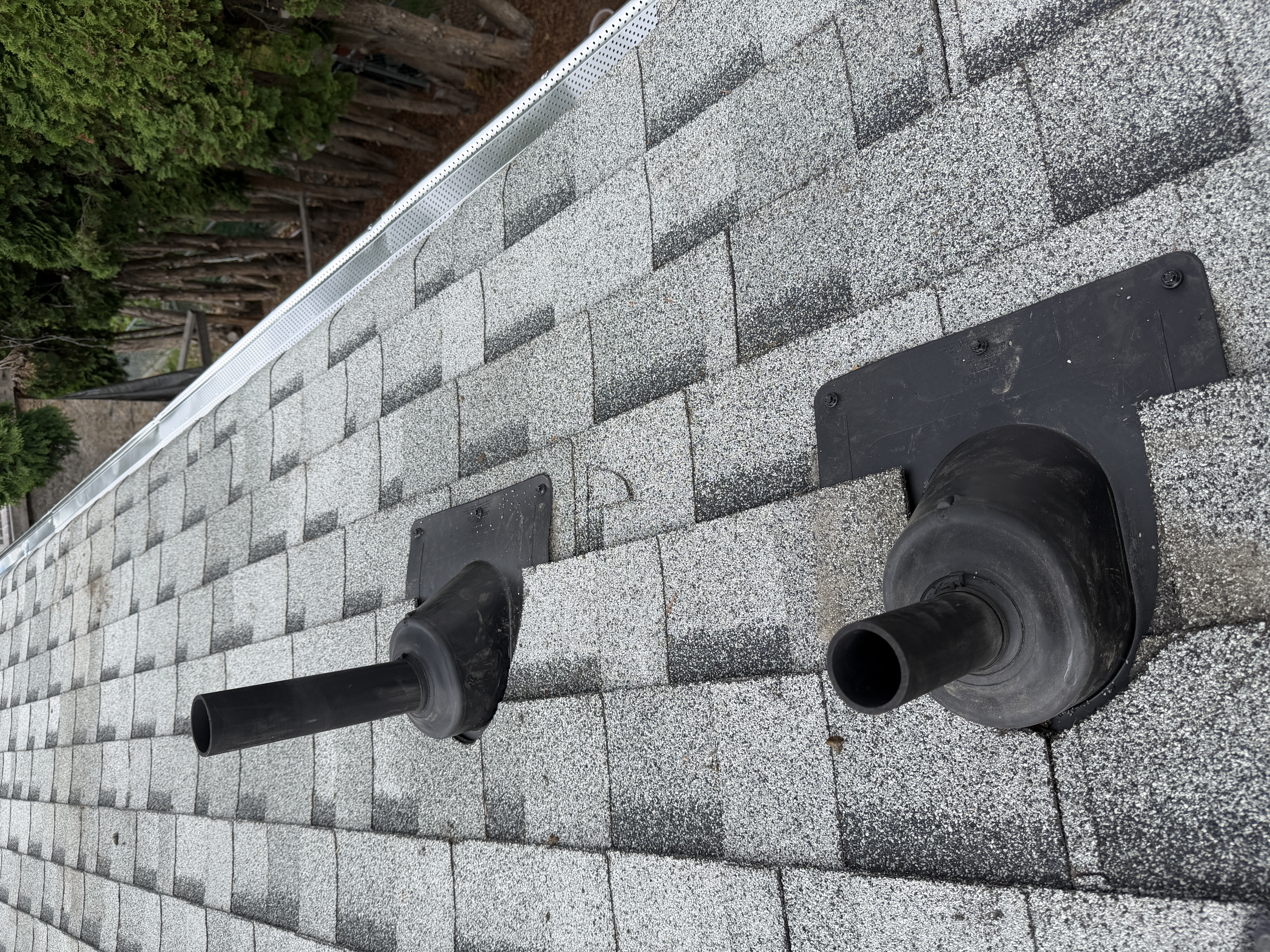 Asphalt Shingle Roof Assessment